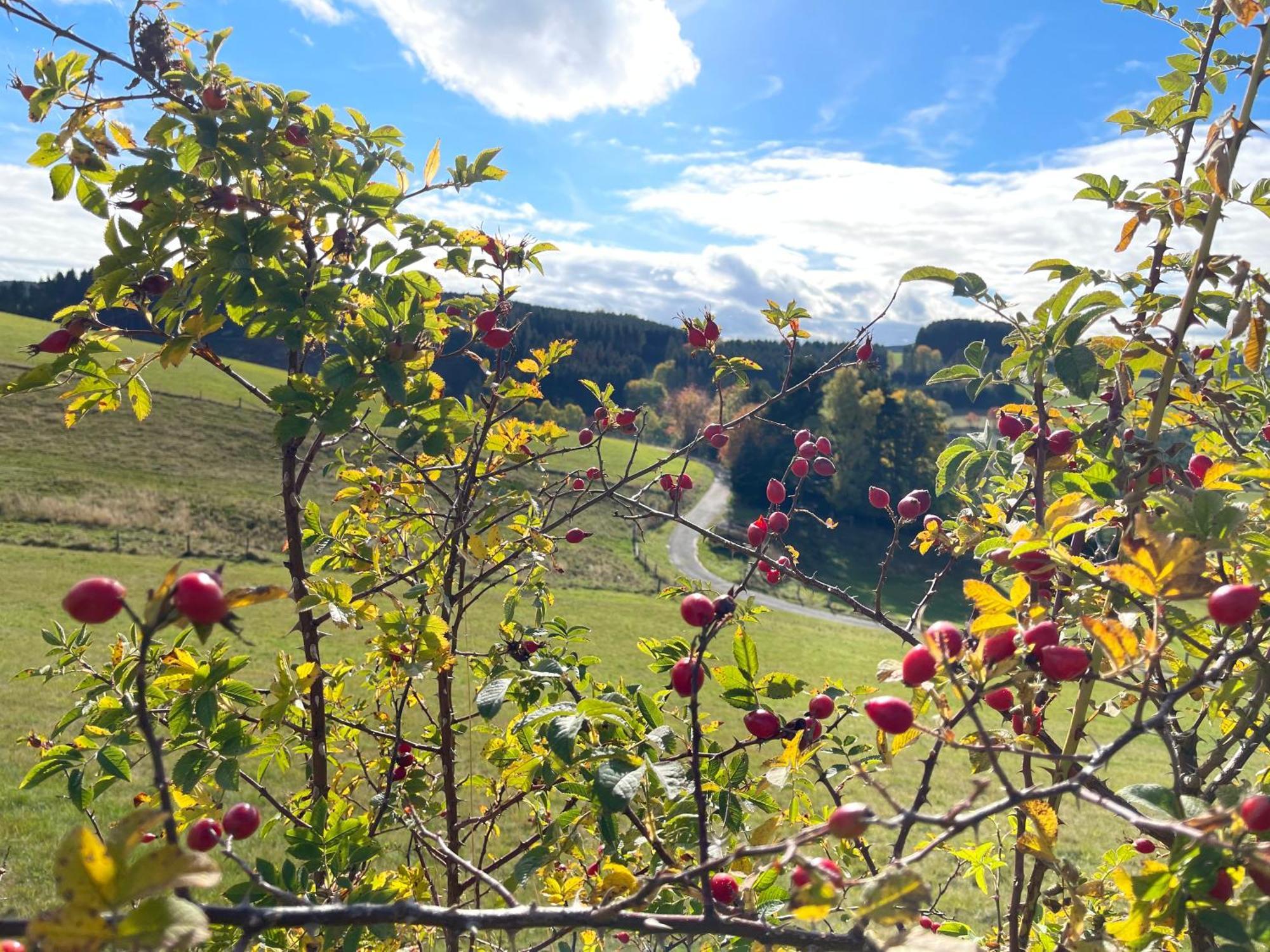 Pension Sonnenheim Winterberg Bagian luar foto