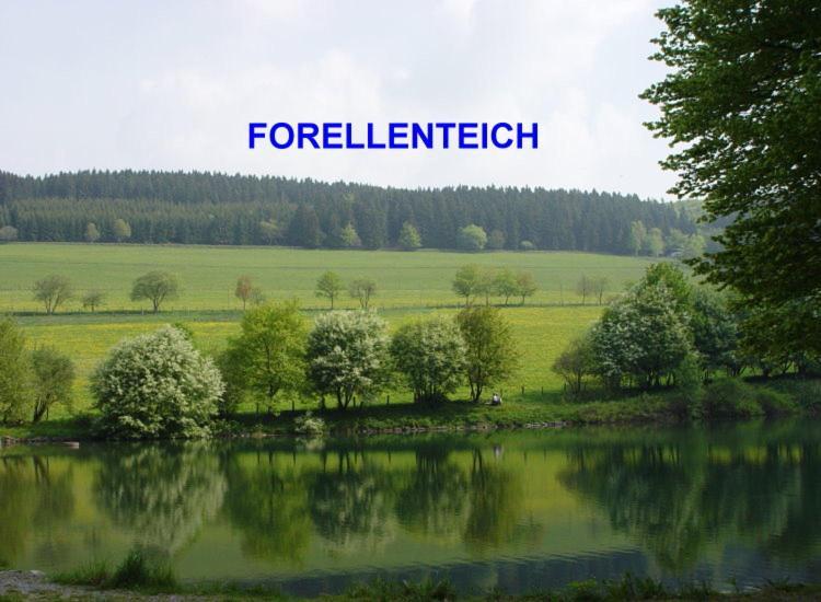 Pension Sonnenheim Winterberg Bagian luar foto