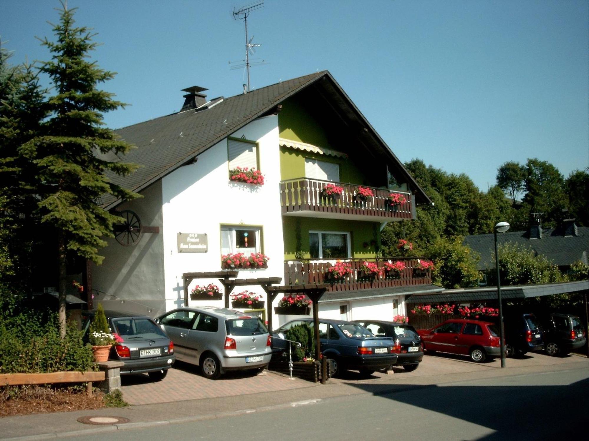 Pension Sonnenheim Winterberg Bagian luar foto
