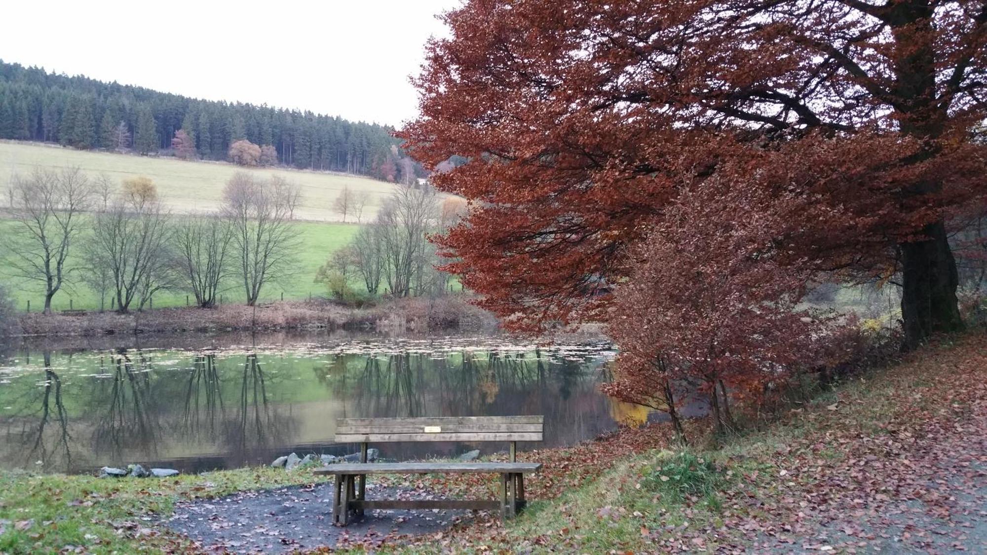 Pension Sonnenheim Winterberg Bagian luar foto
